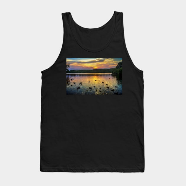 Sunset Over Black Swan Lake Tank Top by IanWL